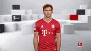Shrugging Either Or GIF by Bundesliga