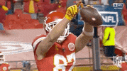 Kansas City Chiefs Football GIF by NFL