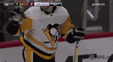 happy ice hockey GIF by NHL