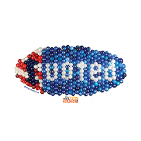 Vote Sticker by NBC LX