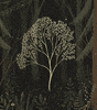 Allyouneediswall night magic tree calm GIF