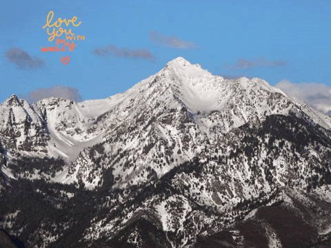 Germany Wow GIF by FranchiseCHECK.de