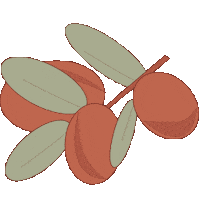 Blow Out Shampoo Sticker by MIZANI