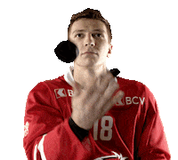 Lhc Lausannehc Sticker by Lausanne Hockey Club