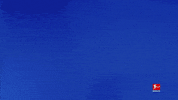 Tsg Hoffenheim Football GIF by Bundesliga