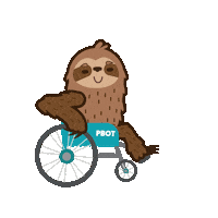 Sloth Portland Sticker by PBOT Info