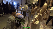 sunbeary GIF