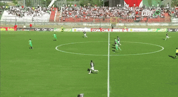 Jimenez GIF by Club Deportivo Palestino