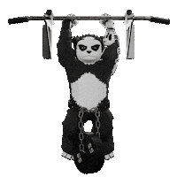 Fitness Workout Sticker by Endangered Labs