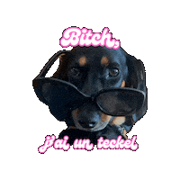 Bernadettebobi Sticker