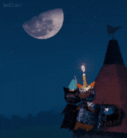 led3an love cat cats night GIF