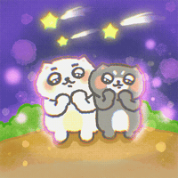 Shooting Star Cat GIF