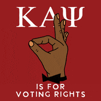 Alpha Kappa Alpha Greek GIF by INTO ACTION