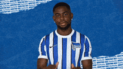 Sorry Bundesliga GIF by Hertha BSC