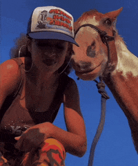 dezmineann black horse country cowboy GIF