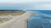 Summer Beach GIF by Hilti group