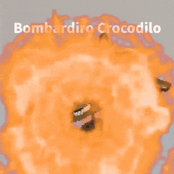 Marshmallow Crocodilo GIF