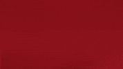 Proud France GIF by Bundesliga
