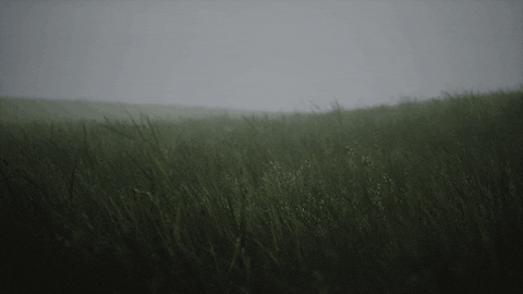 Landscape Wallpaper GIF