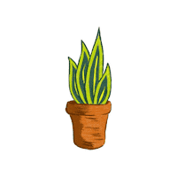nennoilustracion plantas suculentas sanseveria espadadesanjorge Sticker