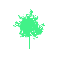 Tree Sticker by CLOU architects