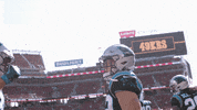 Nfl GIF by Carolina Panthers