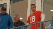 grand rapids dancing GIF by West Michigan Whitecaps 