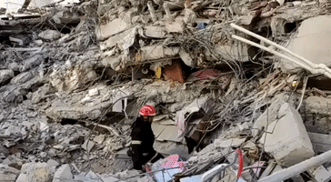 Sniffer Dogs Search for Survivors Beneath Earthquake Rubble in Southeastern Turkey