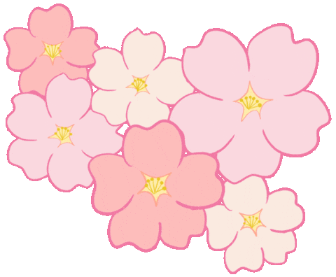 Cherry Blossom 桜 Sticker