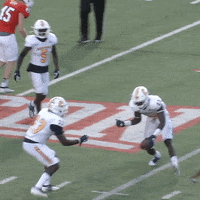 Football GIF by Chattanooga Mocs