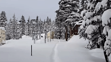 California's Sierra Nevada Mountains Buried in 17 Inches of Snow