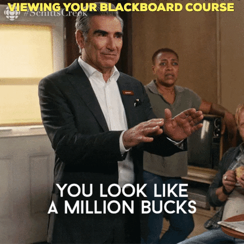 stpark giphygifmaker giphyattribution elearning blackboard GIF