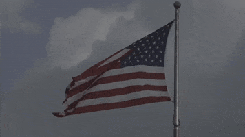 United States America GIF by DIIMSA Stock