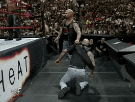 8 Ball Sport GIF by WWE