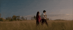 Little Bird Canada GIF by TIFF