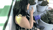 Lmao Laughing GIF