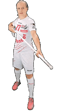 Goalkeeper Stick Sticker by Red Lions Frauenfeld