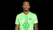 Bundesliga No GIF by VfL Wolfsburg