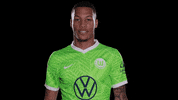 Look Here Reaction GIF by VfL Wolfsburg