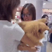 Dog Family GIF