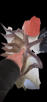 Art Morph GIF by Aleksey Efremov