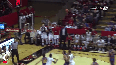 cincinnati bearcats celebration GIF by University of Cincinnati Athletics