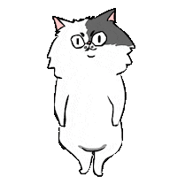 cat respect Sticker by bimay