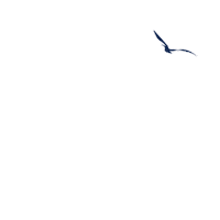 arapongaseguros seguro santa fe corretora cms Sticker