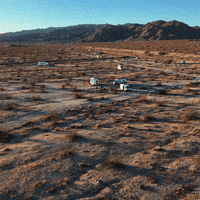 South West Tree GIF by House of Highways
