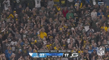 National Football League GIF by NFL