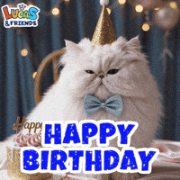 Happy Birthday Cat GIF by Lucas and Friends by RV AppStudios