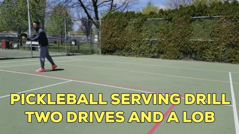 Pickleball GIF