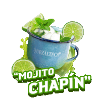 Quezaltecagt Sticker by Quezalteca Oficial