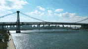 Satisfying New York GIF by Yevbel